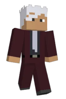 wdnmd_nmsl Minecraft avatar full body
