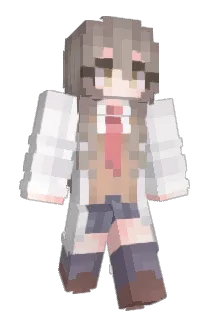 wdska Minecraft avatar full body