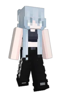 wdswyb Minecraft avatar full body