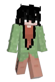 wdywfm24 Minecraft avatar full body