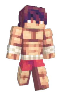 wearytoad Minecraft avatar full body