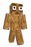 webh2344 Minecraft avatar full body