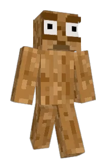 webh2344 Minecraft avatar full body