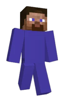 weedgang Minecraft avatar full body