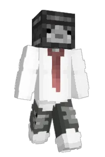 weeprincesskitty Minecraft avatar full body