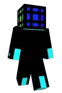 weerh8 Minecraft avatar full body
