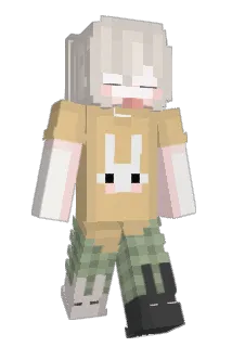 wehich Minecraft avatar full body