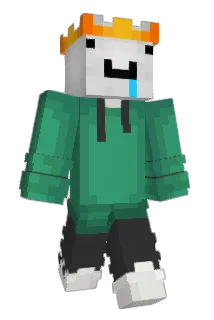 weirdzforeal Minecraft avatar full body