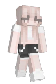 wellcook Minecraft avatar full body
