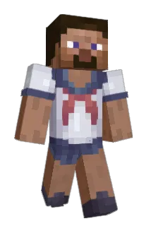 welldarnismyhero Minecraft avatar full body
