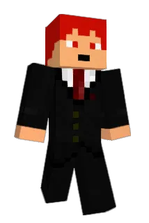 wellkeur Minecraft avatar full body