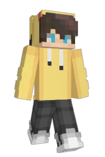 wellwith Minecraft avatar full body