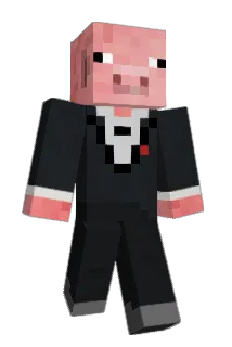 wendellmesset Minecraft avatar full body