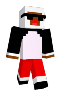 wendy113 Minecraft avatar full body