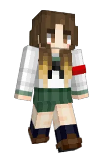 wendyy5 Minecraft avatar full body