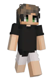 wepah Minecraft avatar full body