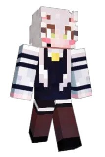 wer55498 Minecraft avatar full body
