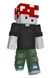 werj_ Minecraft avatar full body