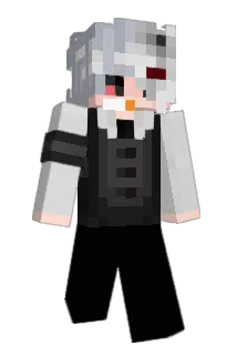 werneeck Minecraft avatar full body