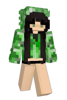 werts Minecraft avatar full body