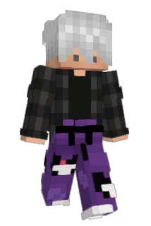 wertvoll Minecraft avatar full body