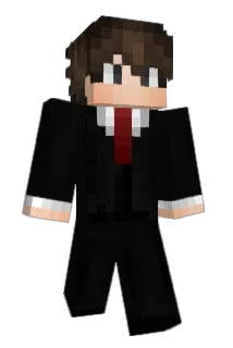 westwing12 Minecraft avatar full body