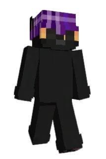 wetchase Minecraft avatar full body
