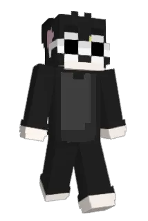 weturk Minecraft avatar full body