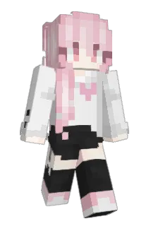 wfdcndm Minecraft avatar full body