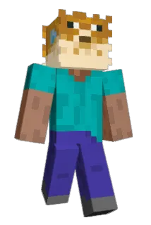 wfdf Minecraft avatar full body
