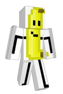 wges Minecraft avatar full body