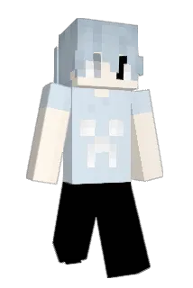 wgrw Minecraft avatar full body