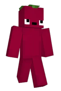 whatelse Minecraft avatar full body