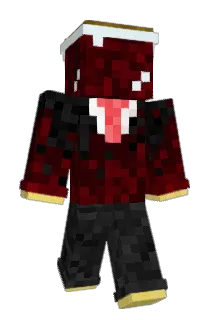 whatsagarnet Minecraft avatar full body