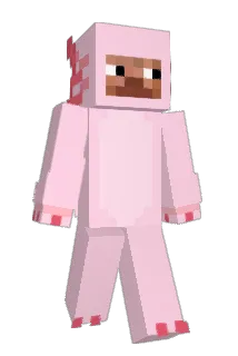 whatsdrippins Minecraft avatar full body