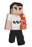 whereishawn Minecraft avatar full body