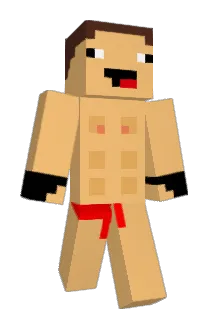 who_dis_be Minecraft avatar full body