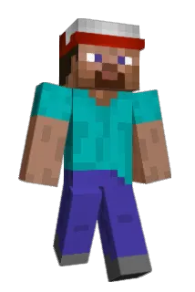 whojo Minecraft avatar full body
