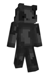 why29 Minecraft avatar full body