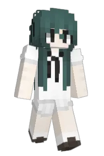 why_Why_WHY_WHy Minecraft avatar full body