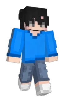 why_see_ Minecraft avatar full body