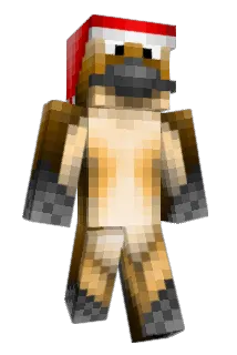 wickedpigs2 Minecraft avatar full body