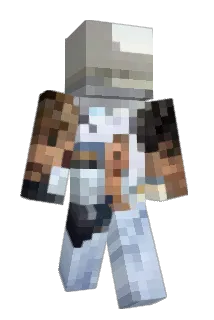 wickzzyy Minecraft avatar full body