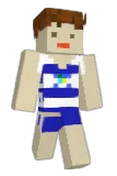 widtee Minecraft avatar full body