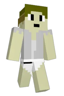 wifilung Minecraft avatar full body