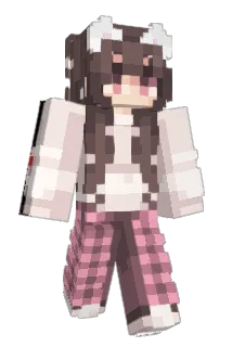 Minecraft-Avatar von wihzerd_: ganzer Körper