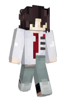 wiinwrldz Minecraft avatar full body