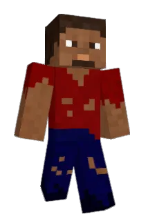 wildboyzone Minecraft avatar full body