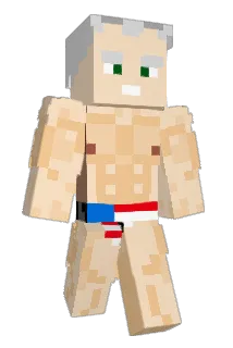 wildcat25 Minecraft avatar full body