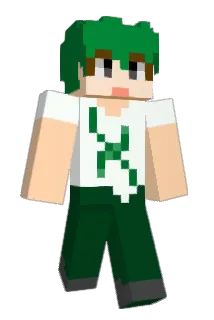 wilder17 Minecraft avatar full body